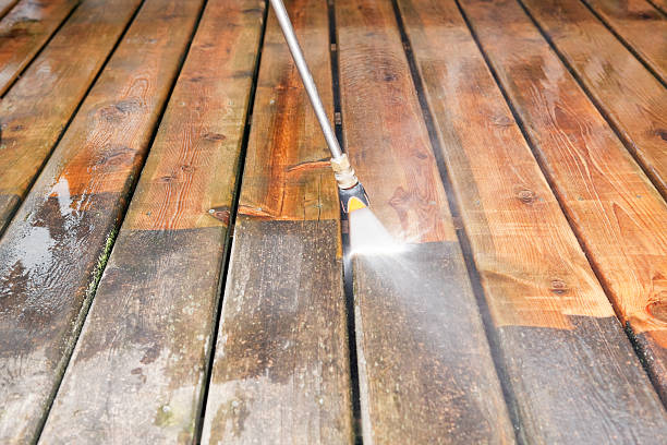 Best Dumpster Area Cleaning  in Lake Isabella, MI